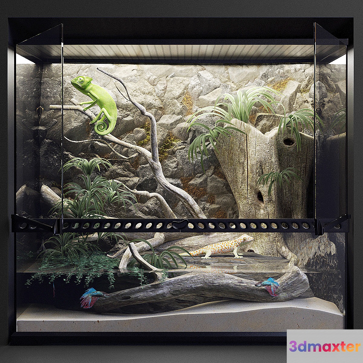 Terrarium