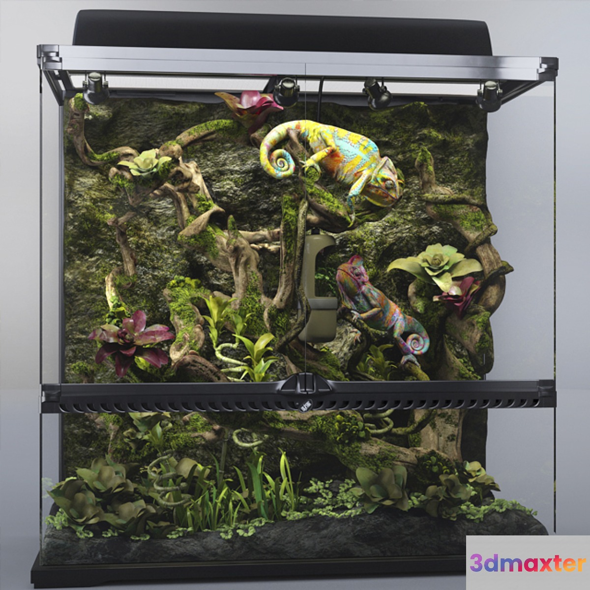 Terrarium Exo-terra with chameleons 3D Max