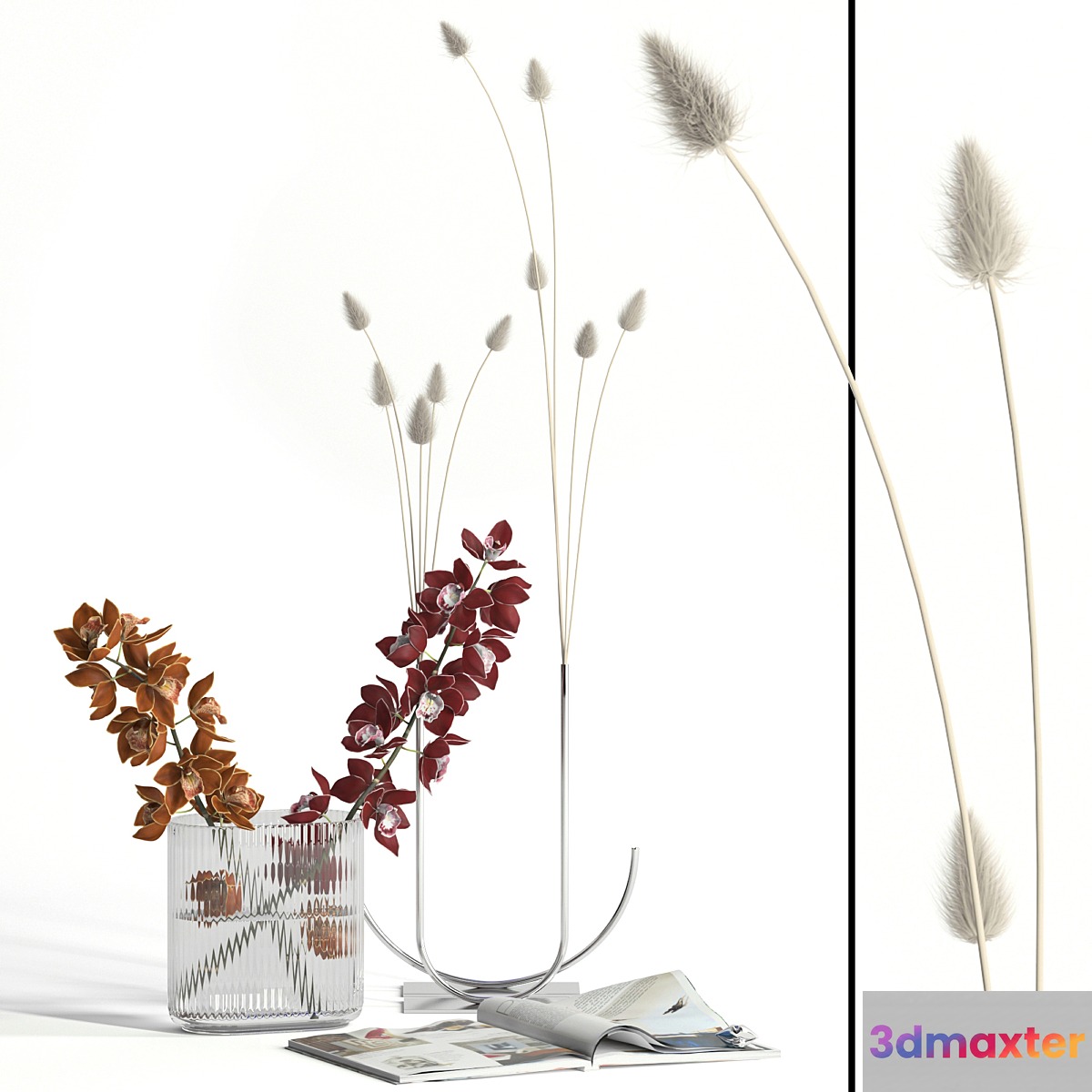 Cymbidium & lagurus decor 3D Max