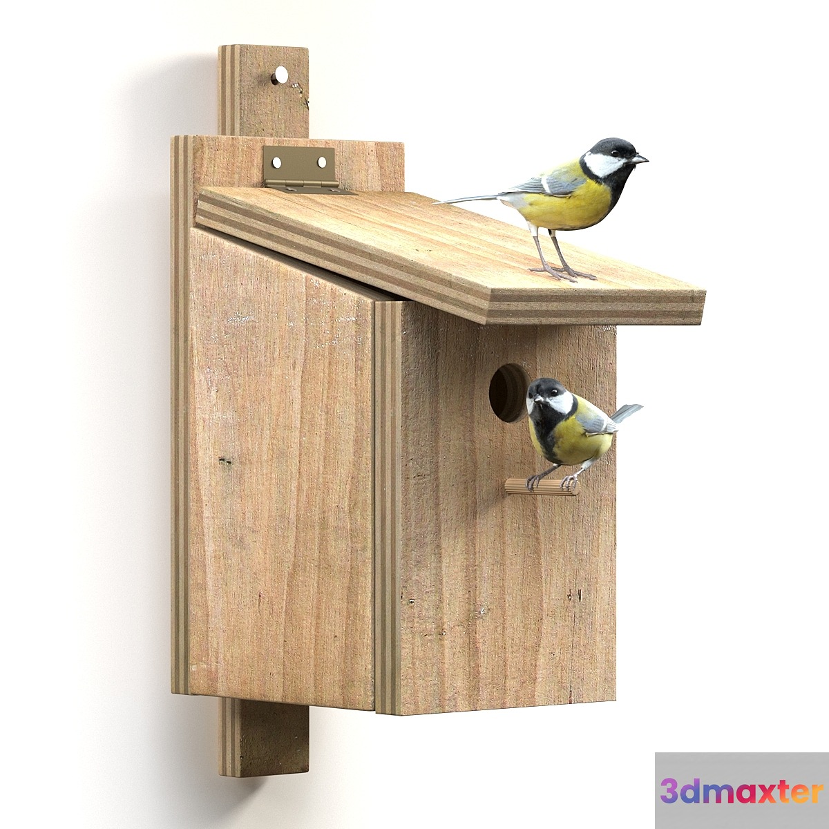 Great Tits at artificial nest 3D Max