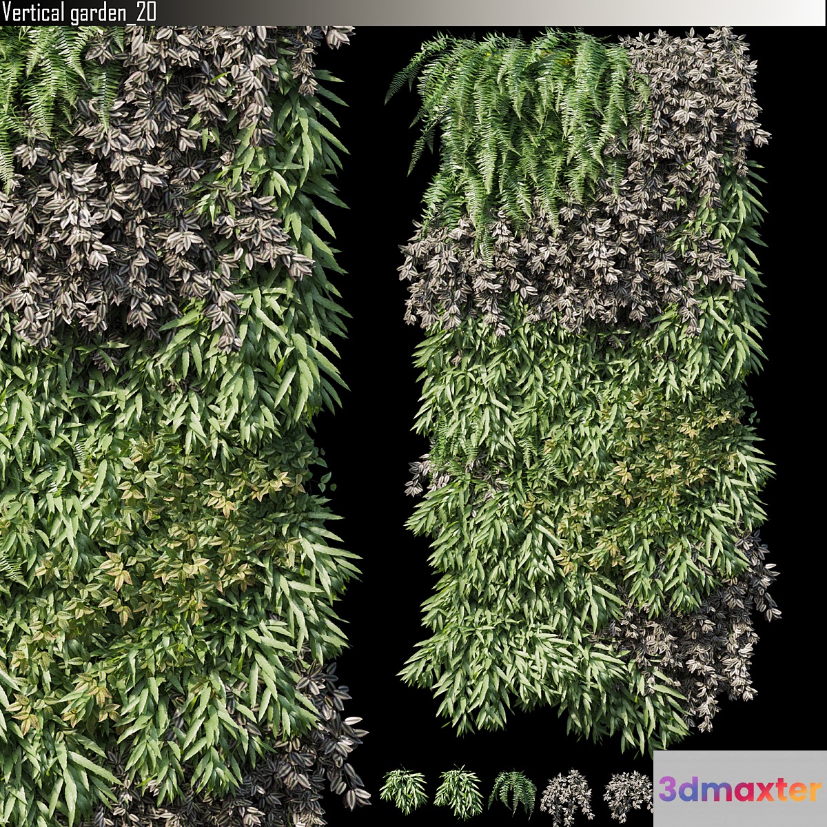 Vertical garden 20 - No.2