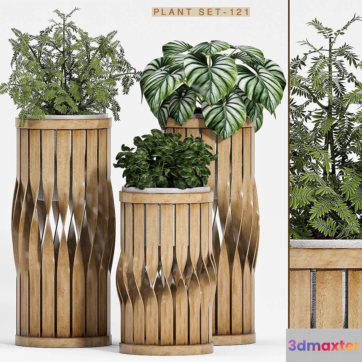 Plant set-121 - No.3