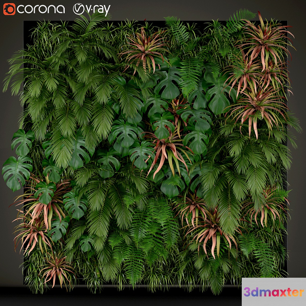 Plants collection 200