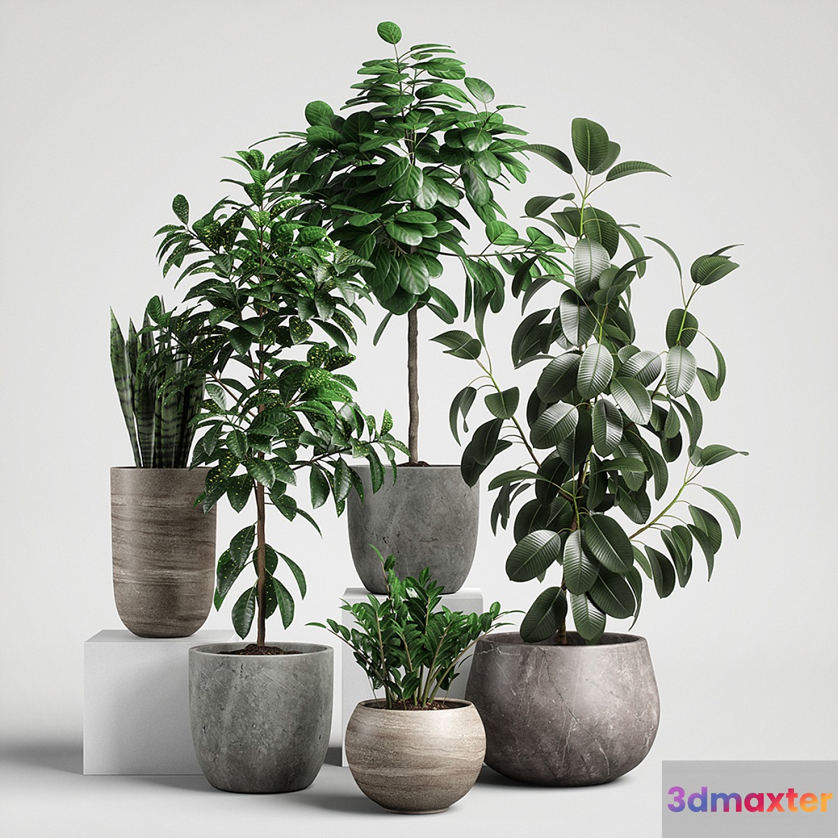 plants set 10 - No.4