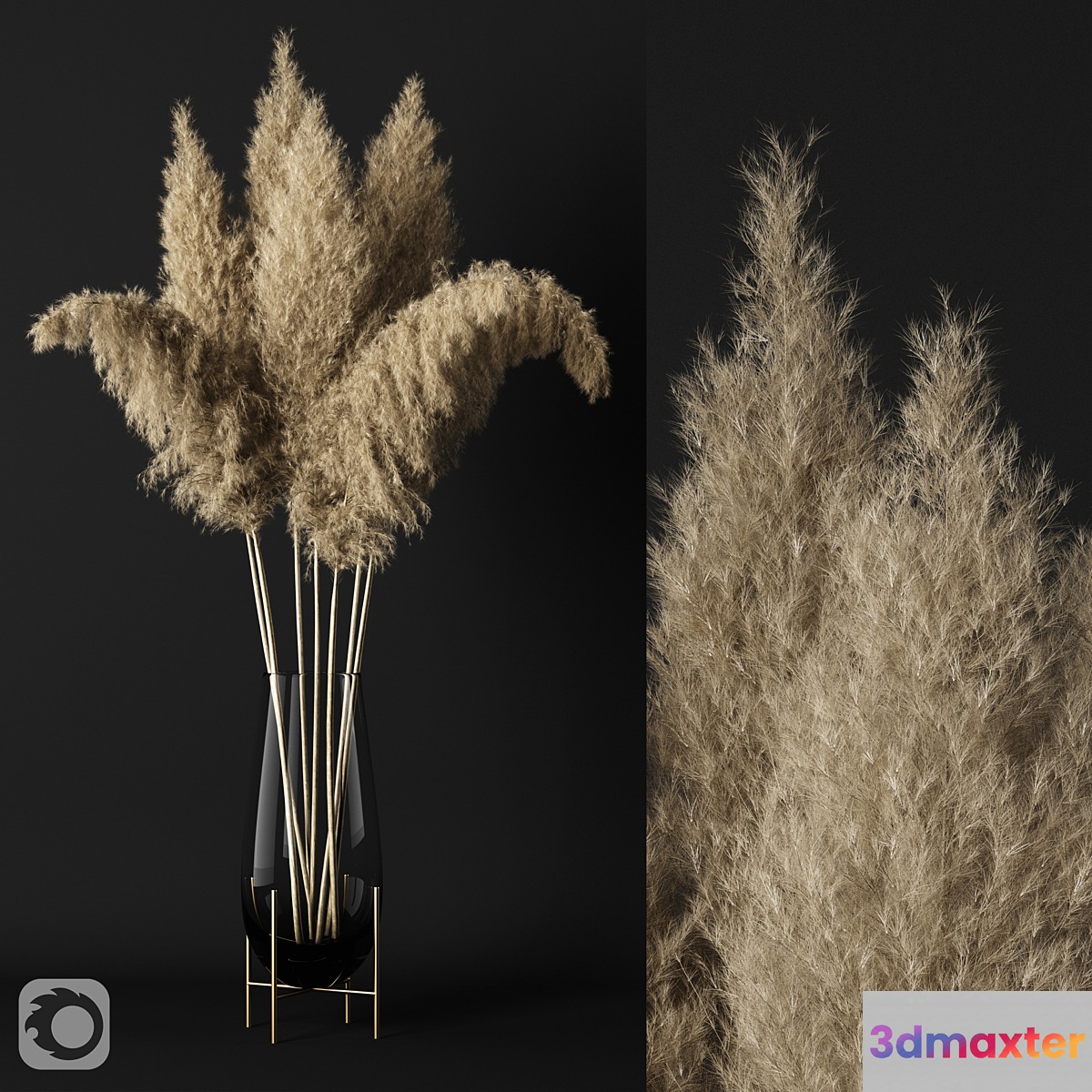 A bunch of pampas 3D Max