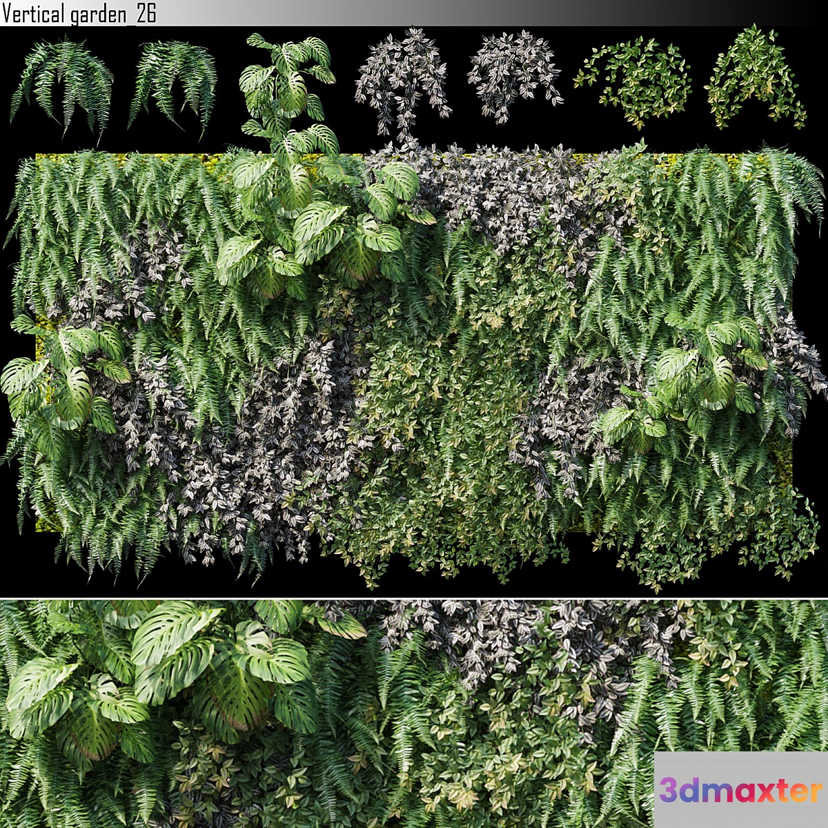 Vertical garden 26