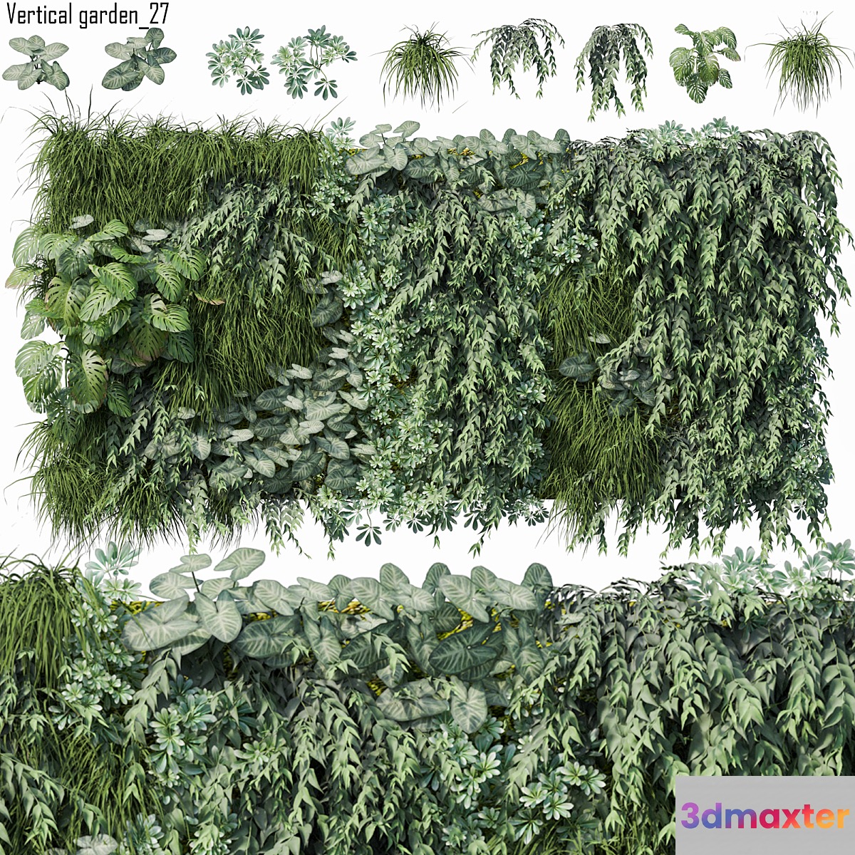 Vertical garden 27
