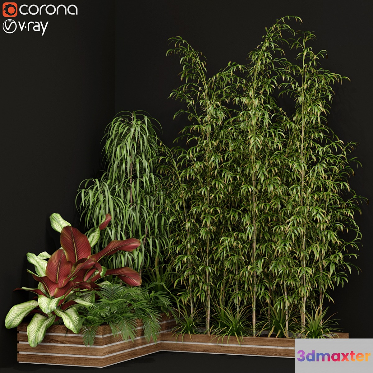 Plants collection 201