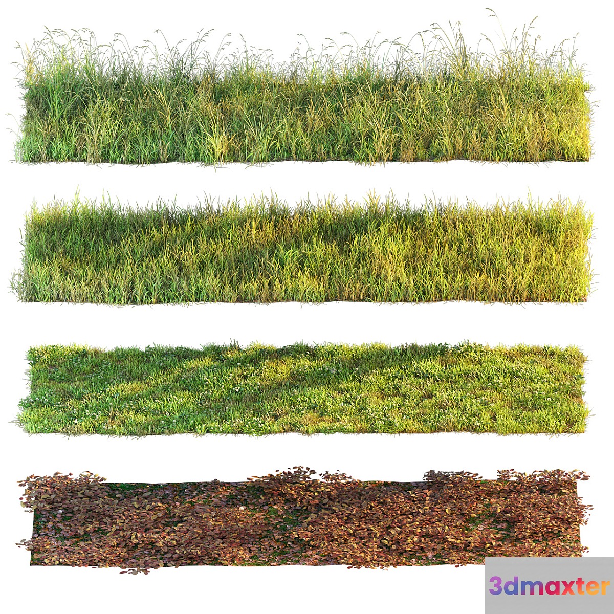 Set of grass and leaves. - No.2 3D Max