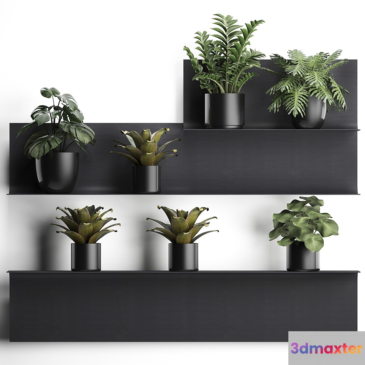 Collection of small plants black metal shelf with flowers in pots with monstera Zamiokulkas Chlorophytum Philodendron bromelia loft. Set 49. 3D Max