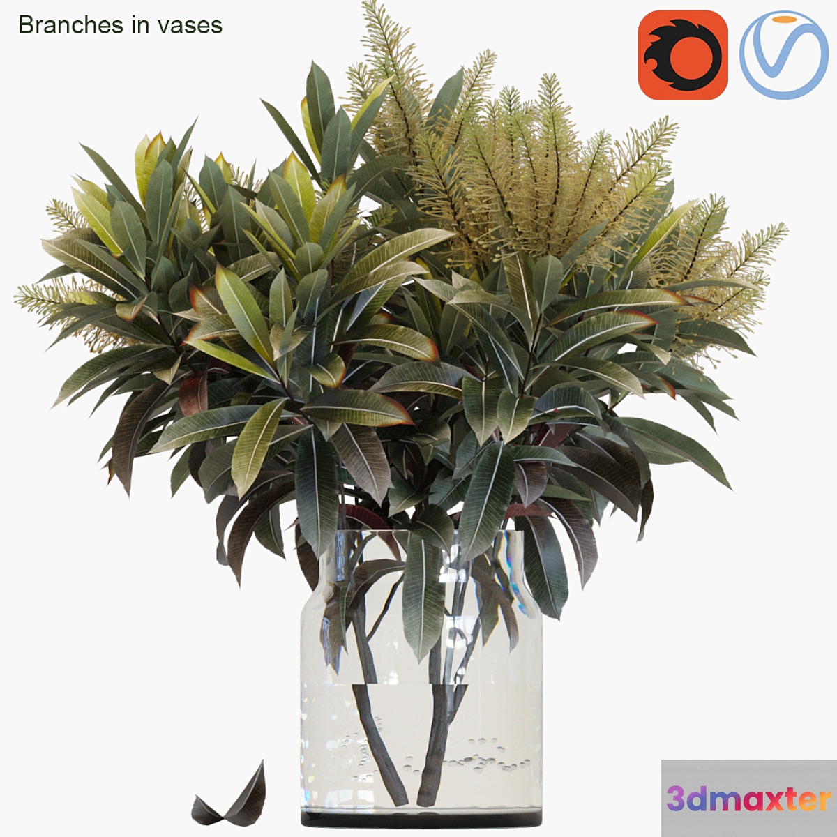 Branches in vases 25
