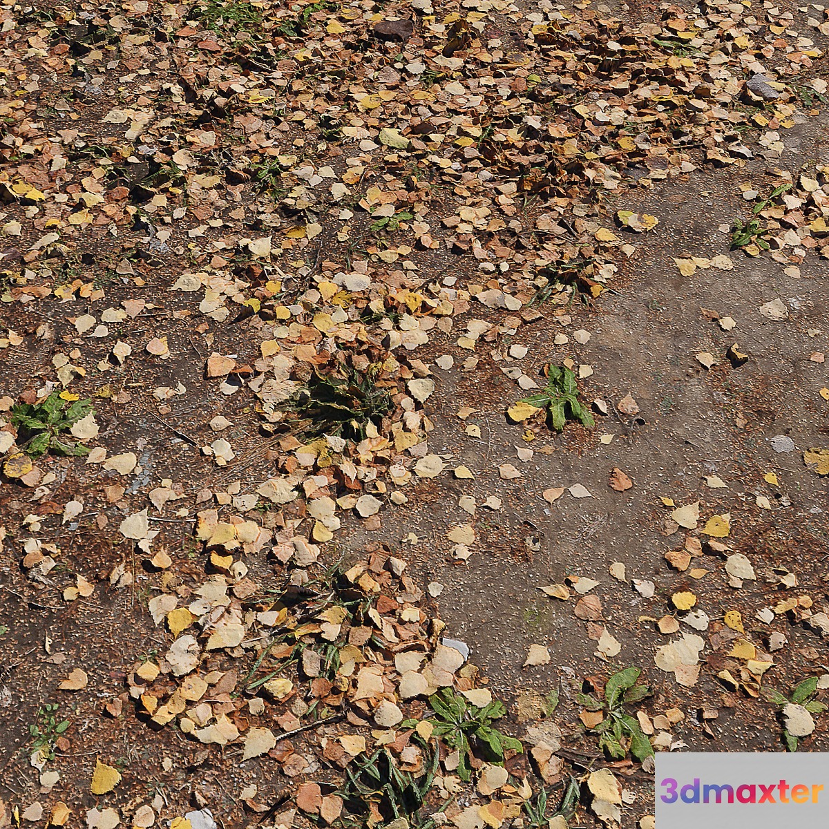 Leaf_Earth 3 3D Max