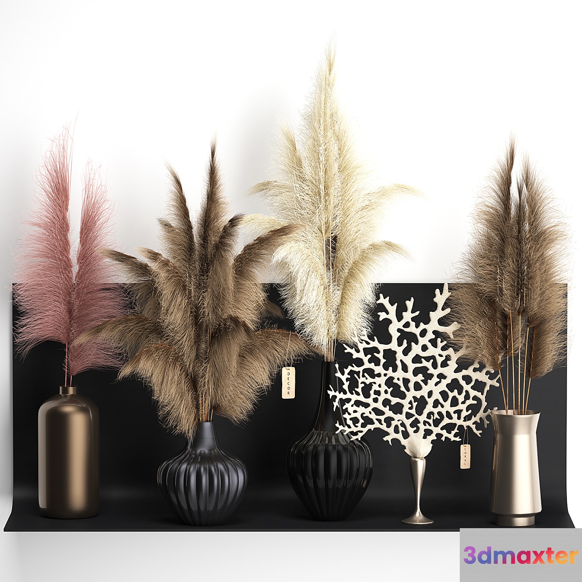 A collection of bouquets of dried flowers in vases on a black metal shelf with pampas coral Cortaderia. Set 11.