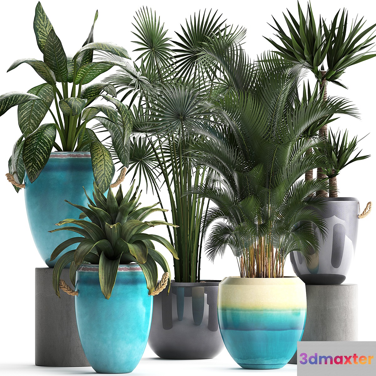 Collection of exotic plants in modern multicolored pots and vases with Fan palm bromelia Howea Yucca Dieffenbachia. Set 394 3D Max