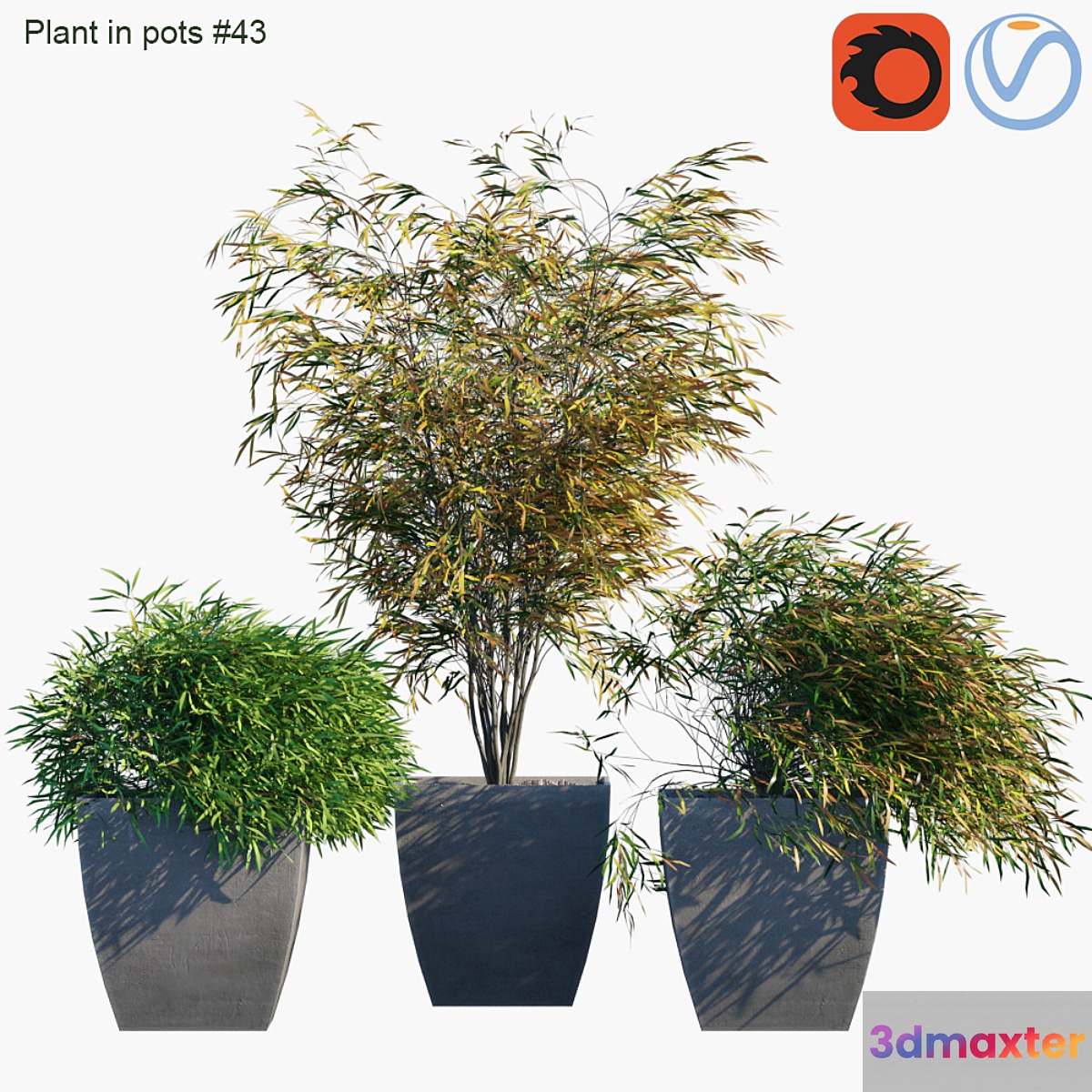 Plant in pots # 43: Palm and grass - No.3