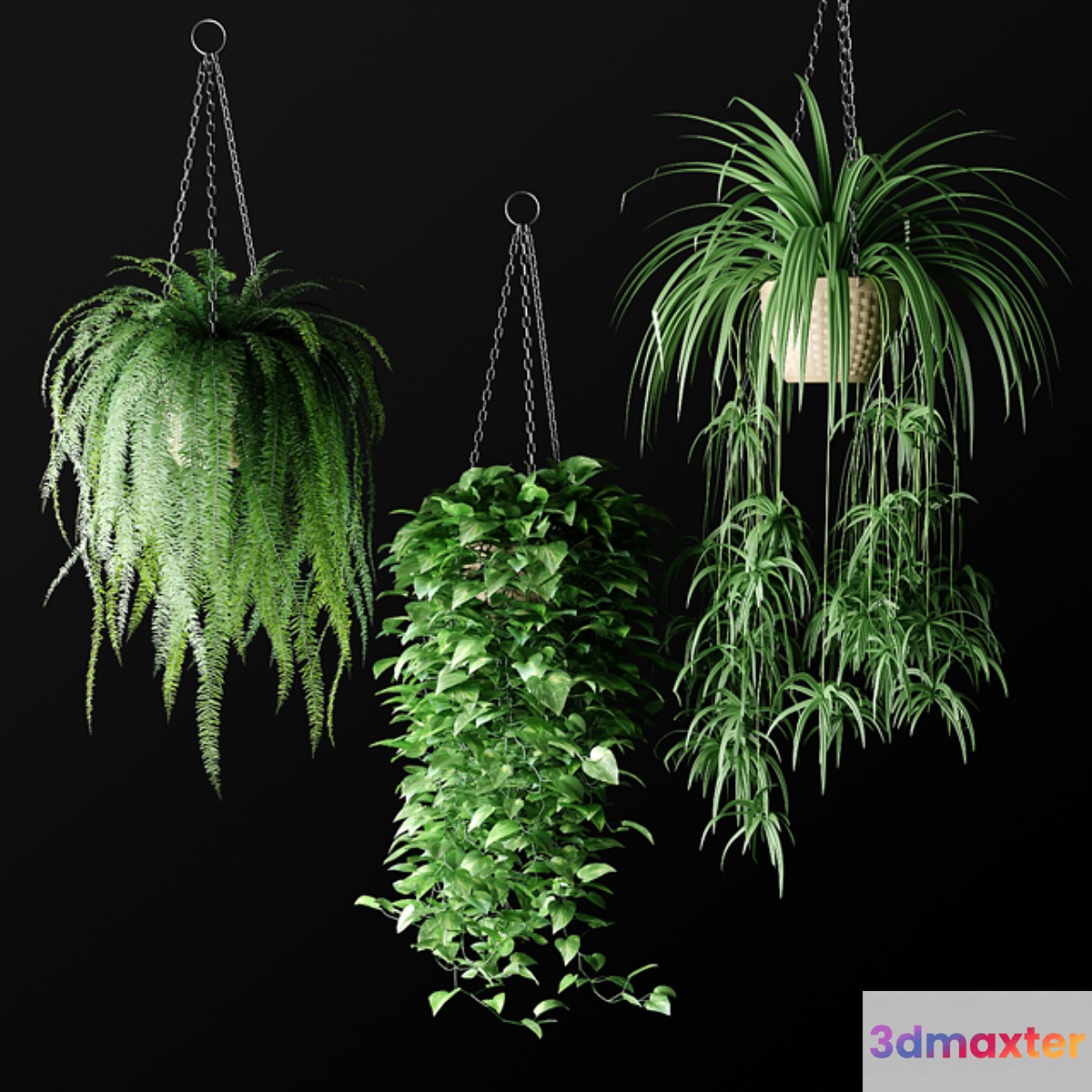 Plants in hanging wicker planters | Plants in Hanging Wicker Planters - No.2