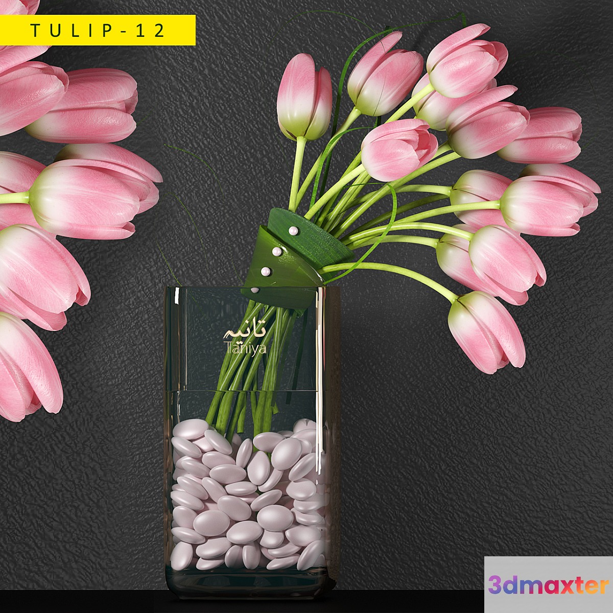 plants 12