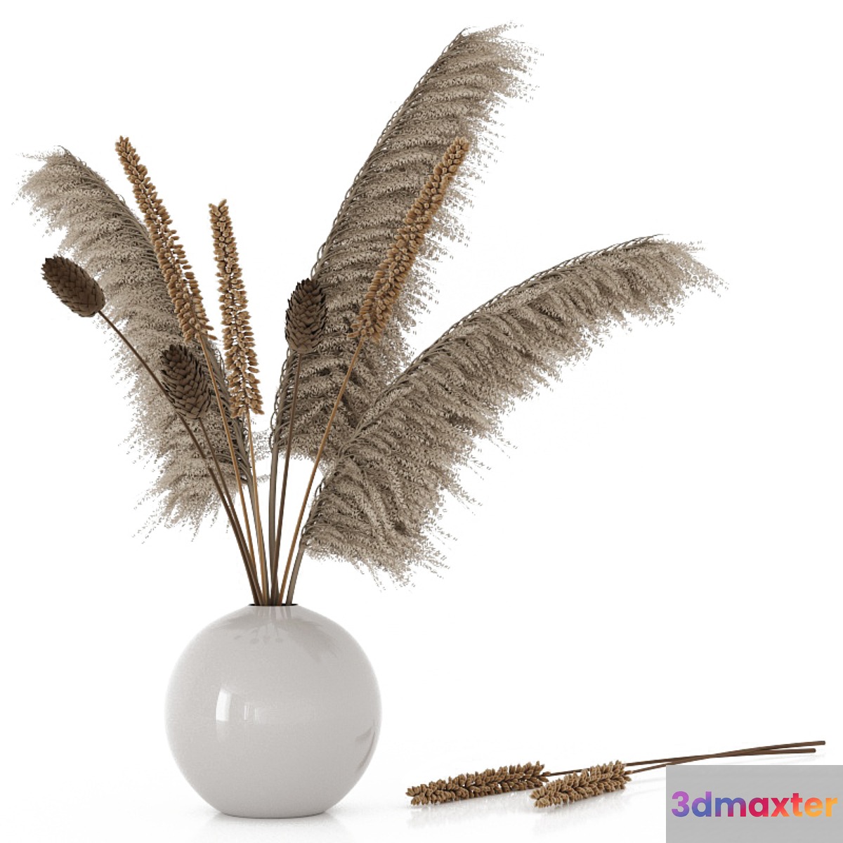 Bouquet with pampas grass and dry plants