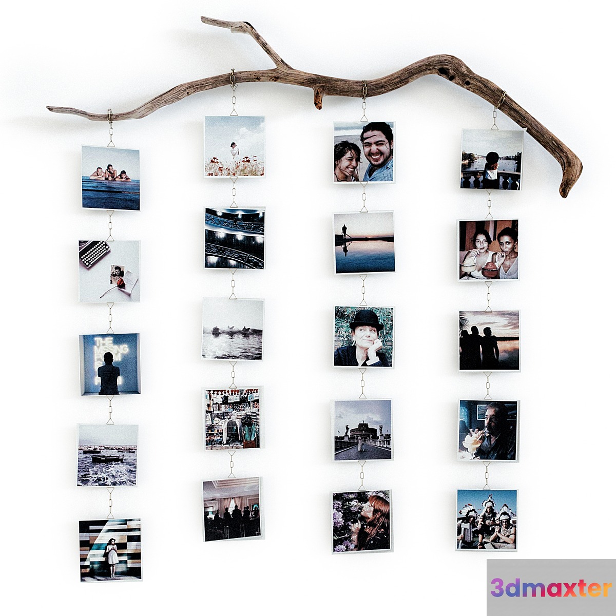 Photo branch