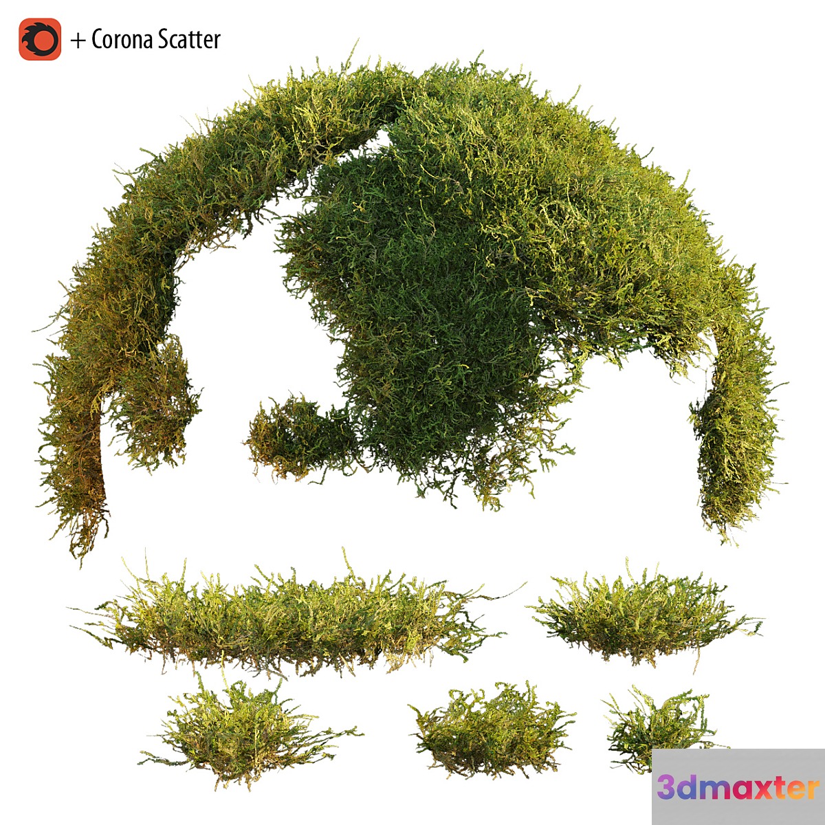 Forest moss 3D Max Forest moss 3D Max