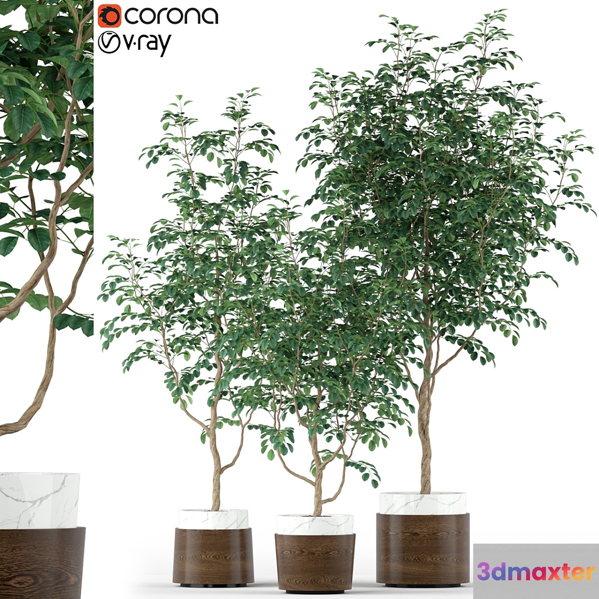 Plants collection 205 3D Max