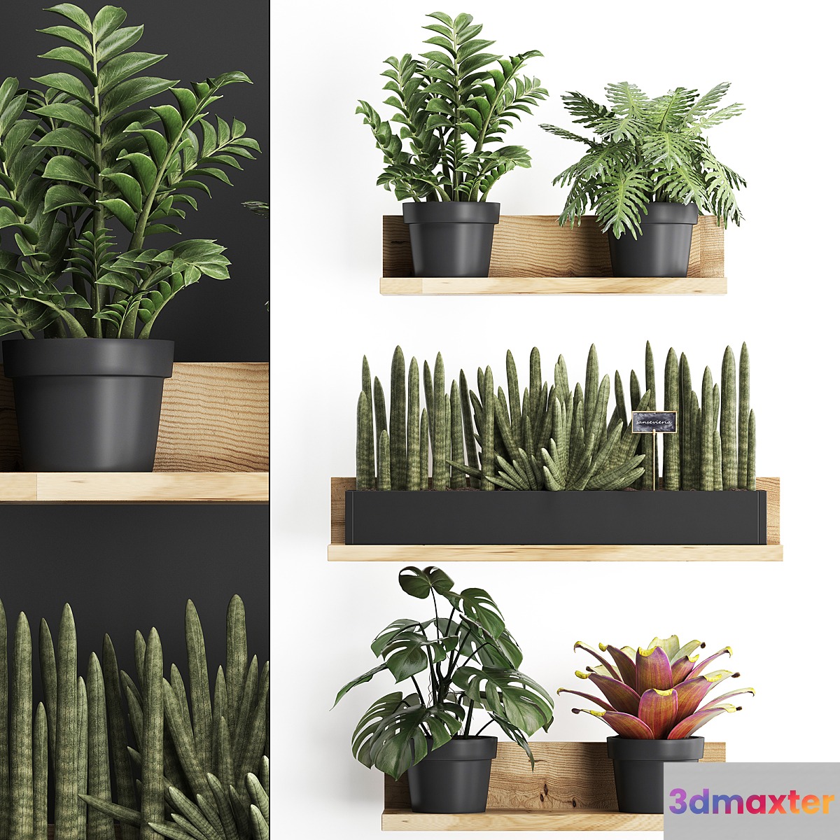 Collection of small plants wooden shelf with flowers in pots with Zamiokulkas Philodendron bromelia monstera. Set 401. 3D Max