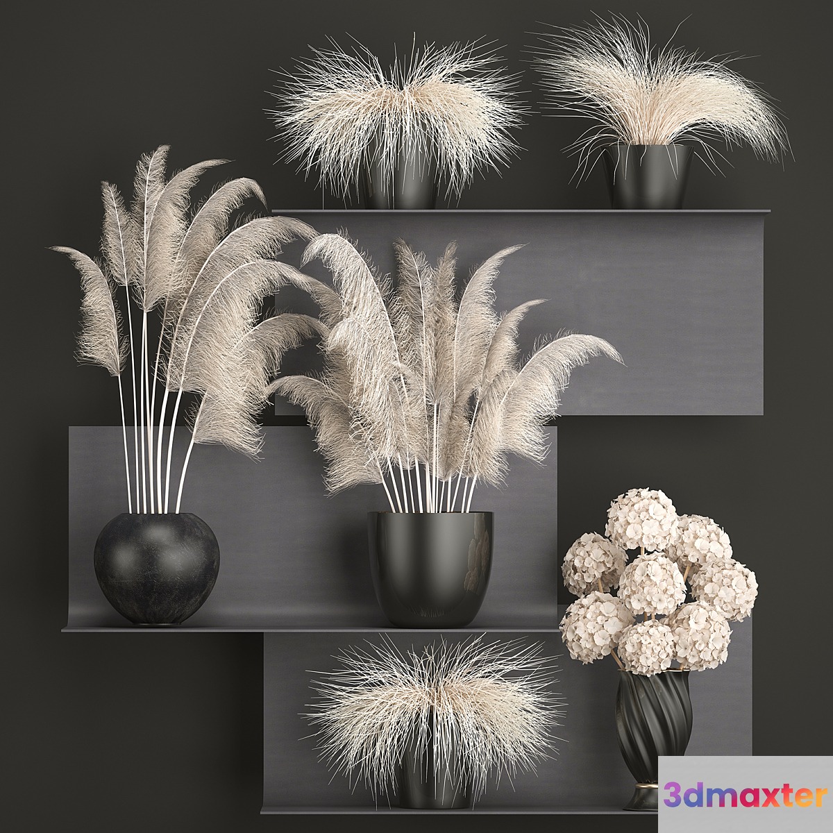 A collection of white bouquets of dried flowers in black vases on a metal shelf with branches of pampas Pampas grass Hydrangea. Set 91.