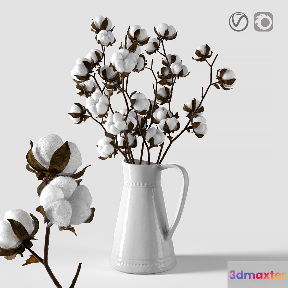 Cotton in a jug - No.2