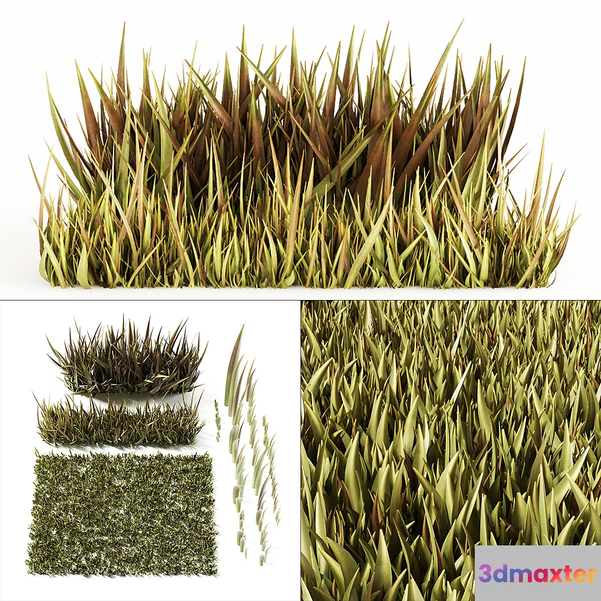 Grass 3D Max