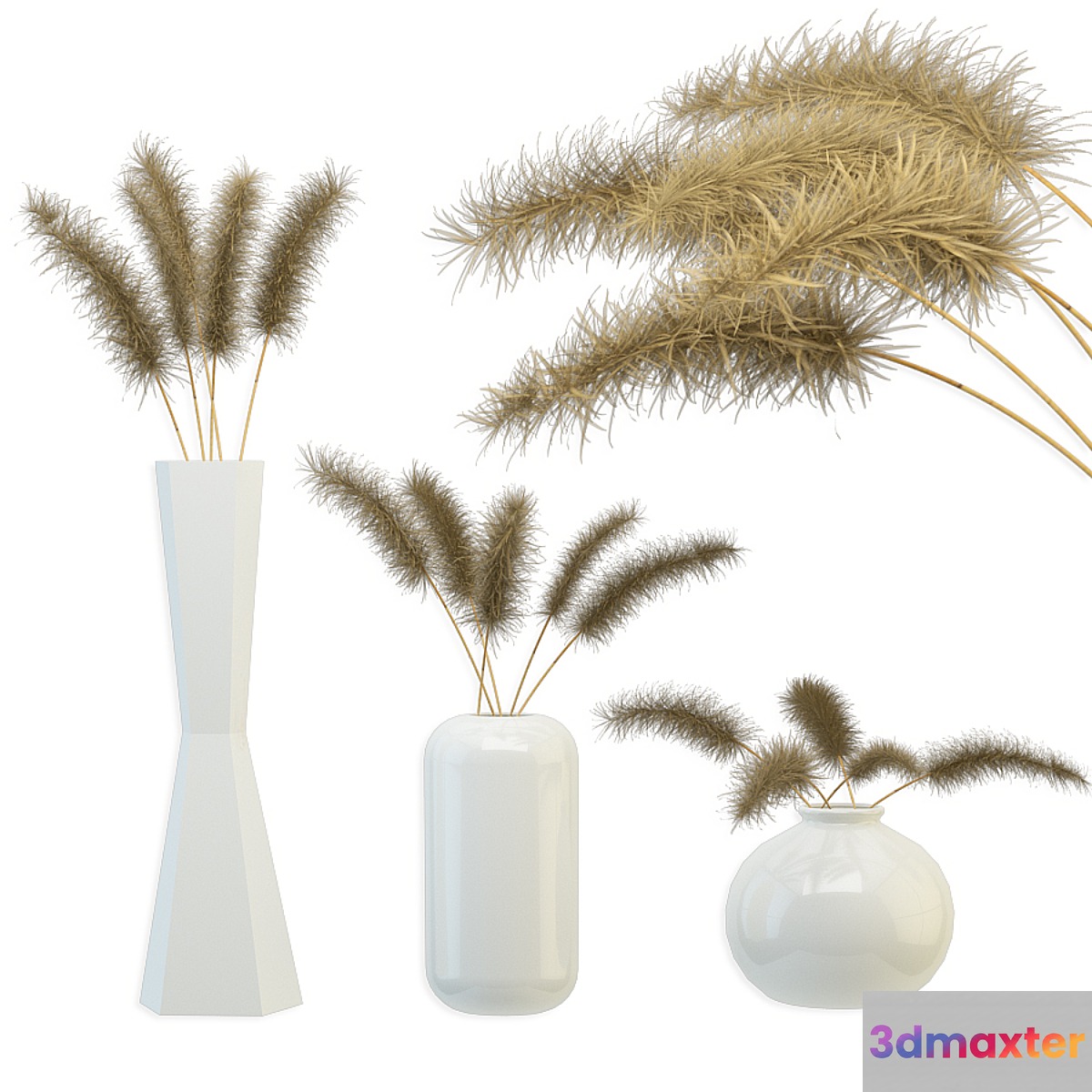 Bouquet of dried flowers 3D Max