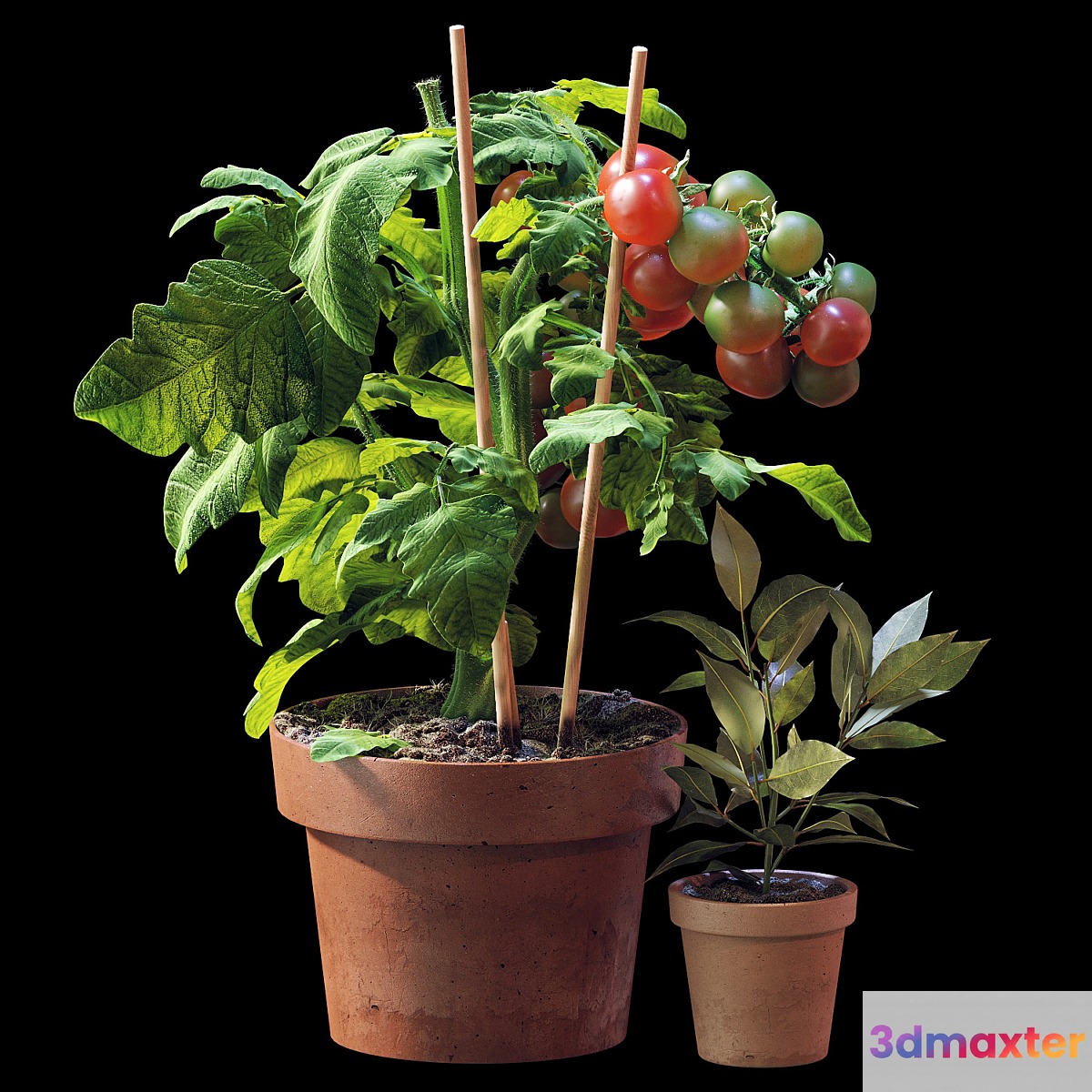 Plant set 06