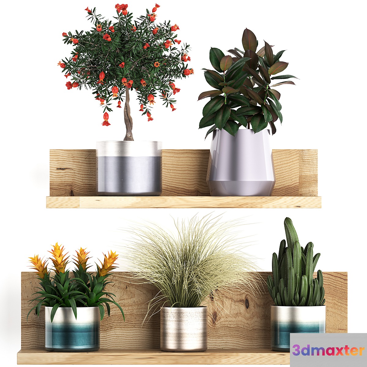 A collection of small plants on a floral wooden shelf in modern pots with a Pomegranate tree Ficus cactus bromelia grass. Set 409. 3D Max