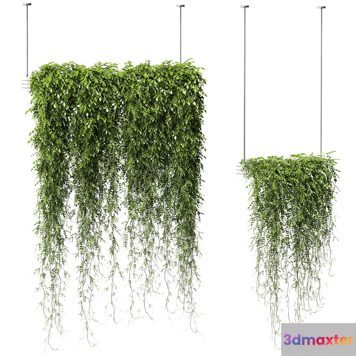 Plants in Hanging Planters v2. 2 models