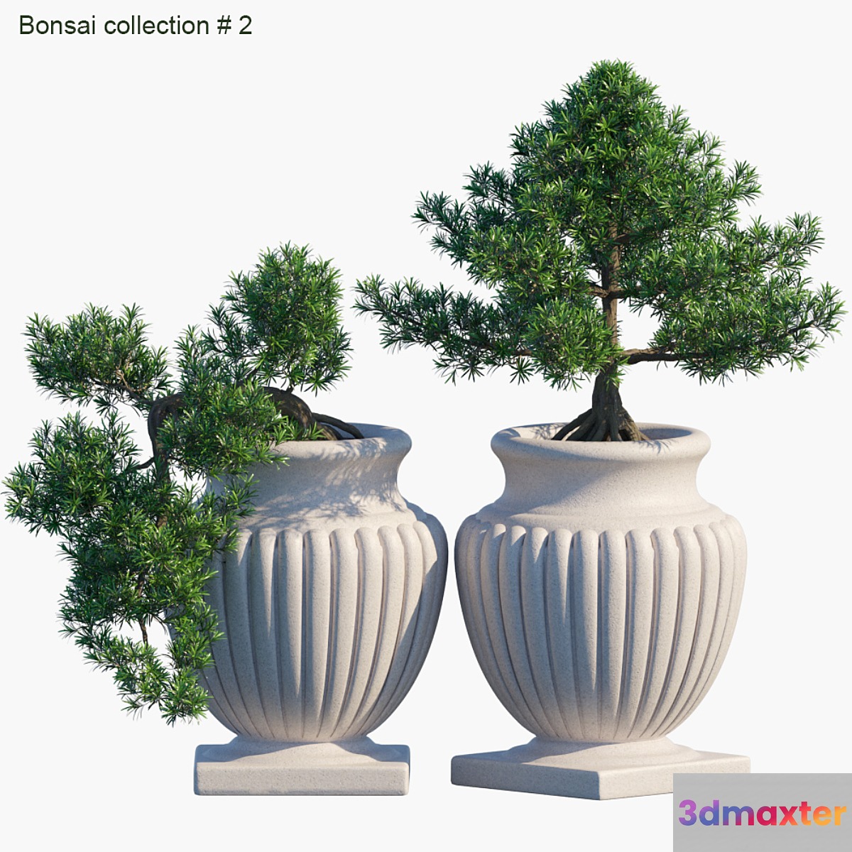 Bonsai collection # 2 3D Max