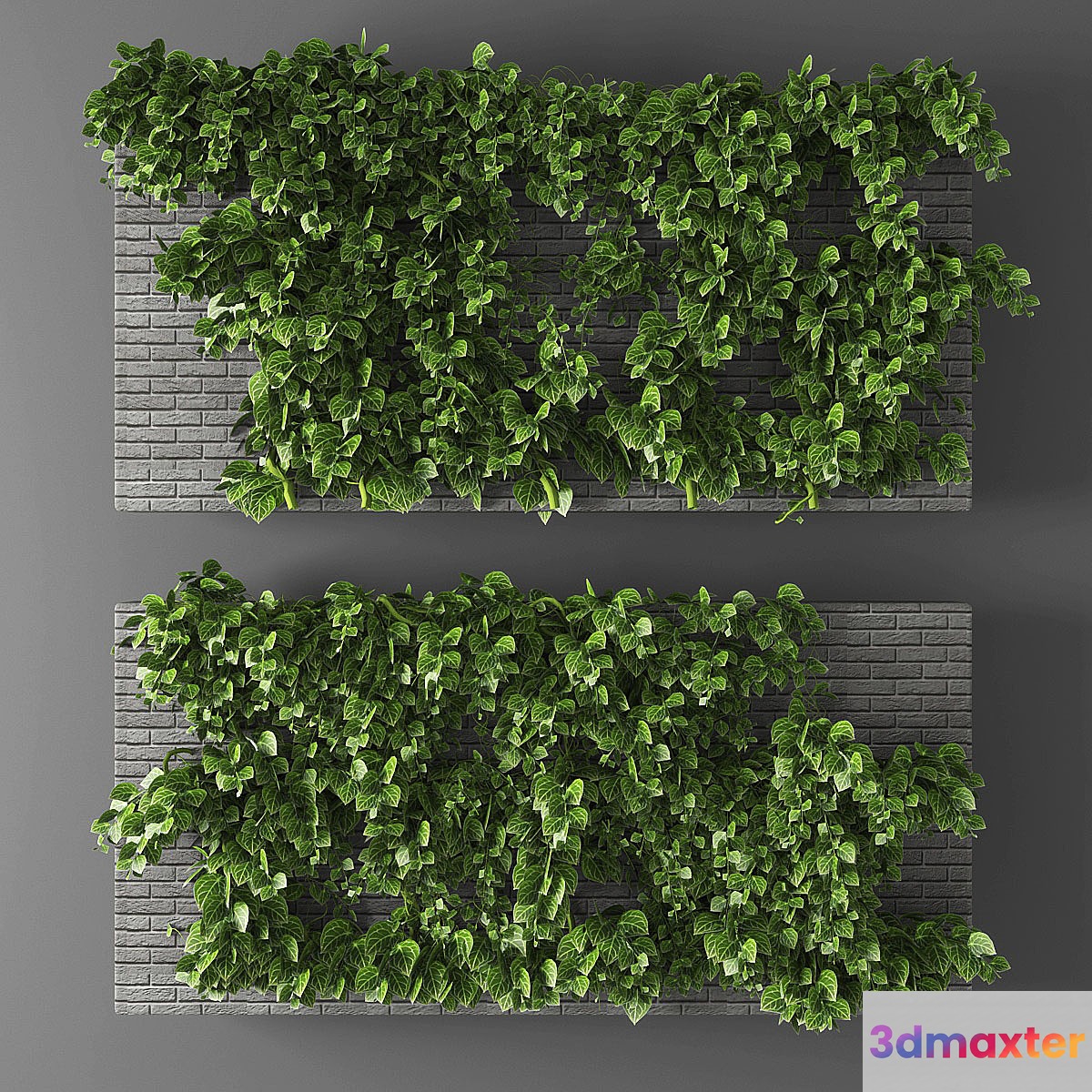 Vertical garden 010 3D Max