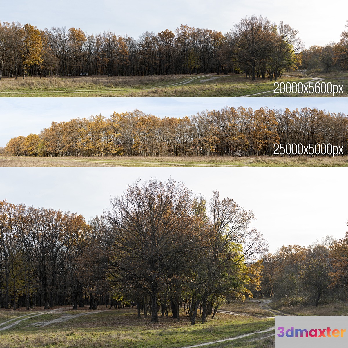 Oak Grove. 2 panoramas Oak Grove. 2 panoramas