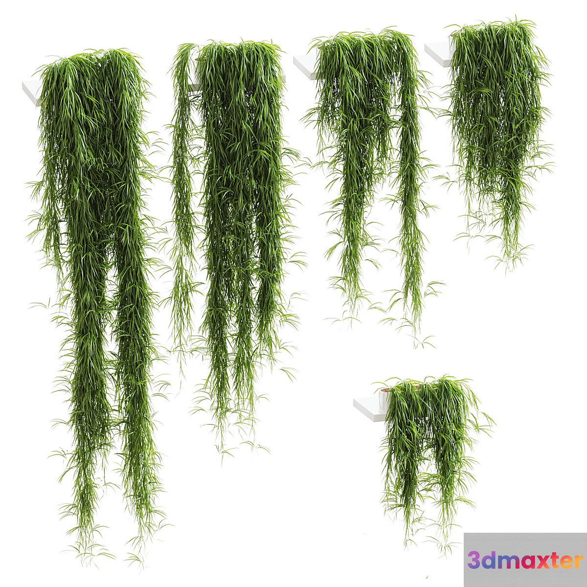 Hanging plants for shelves. 5 models. set 1 3D Max
