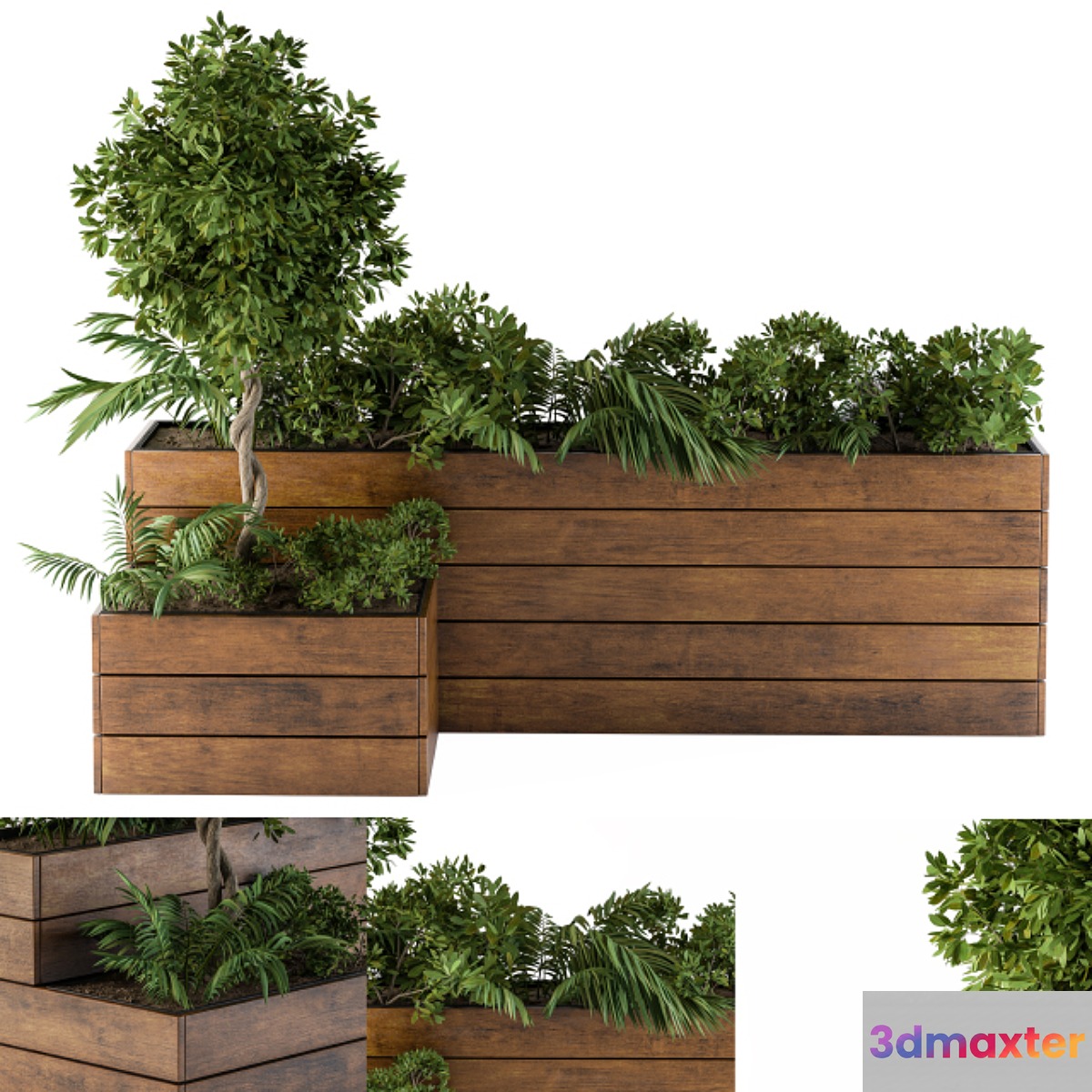 outdoor-plants Flower Box 3D Max