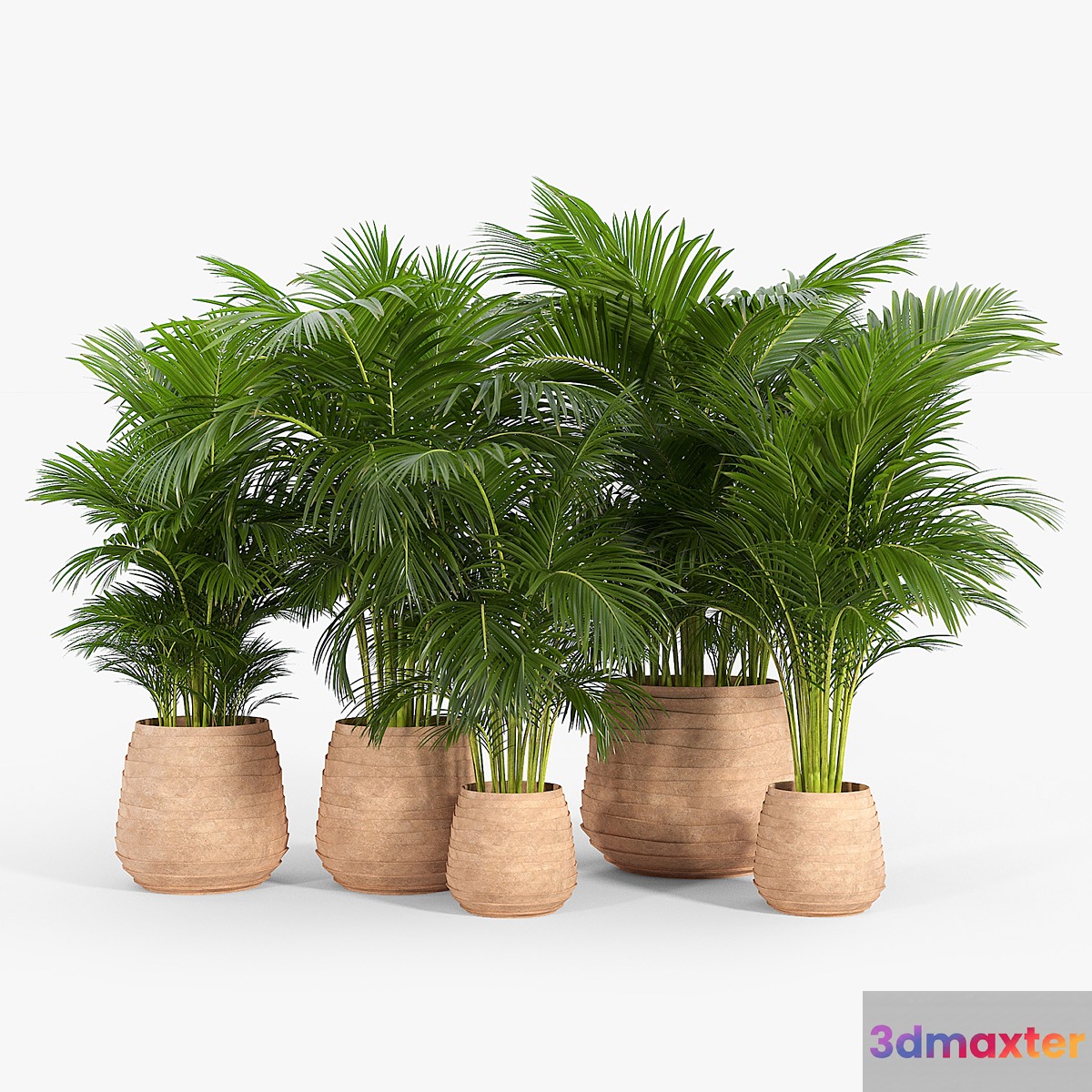 Tula Planter Collection 3D Max