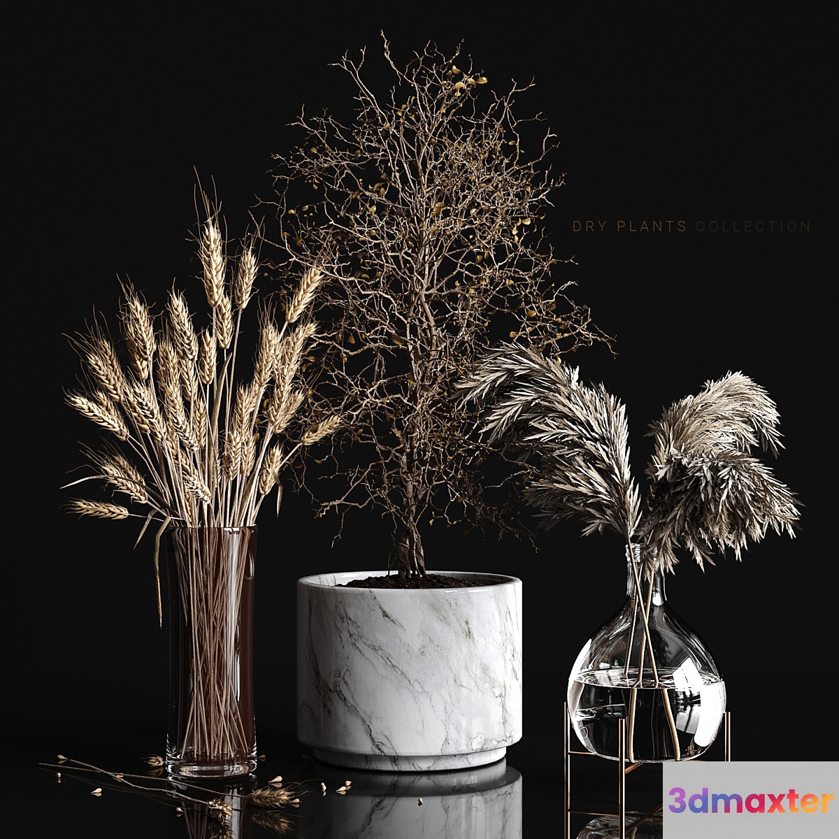 Dry plants collection