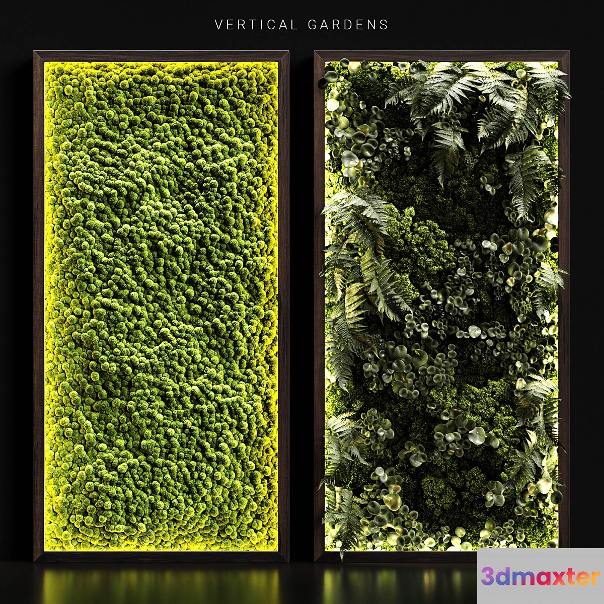 Vertical gardens - No.2