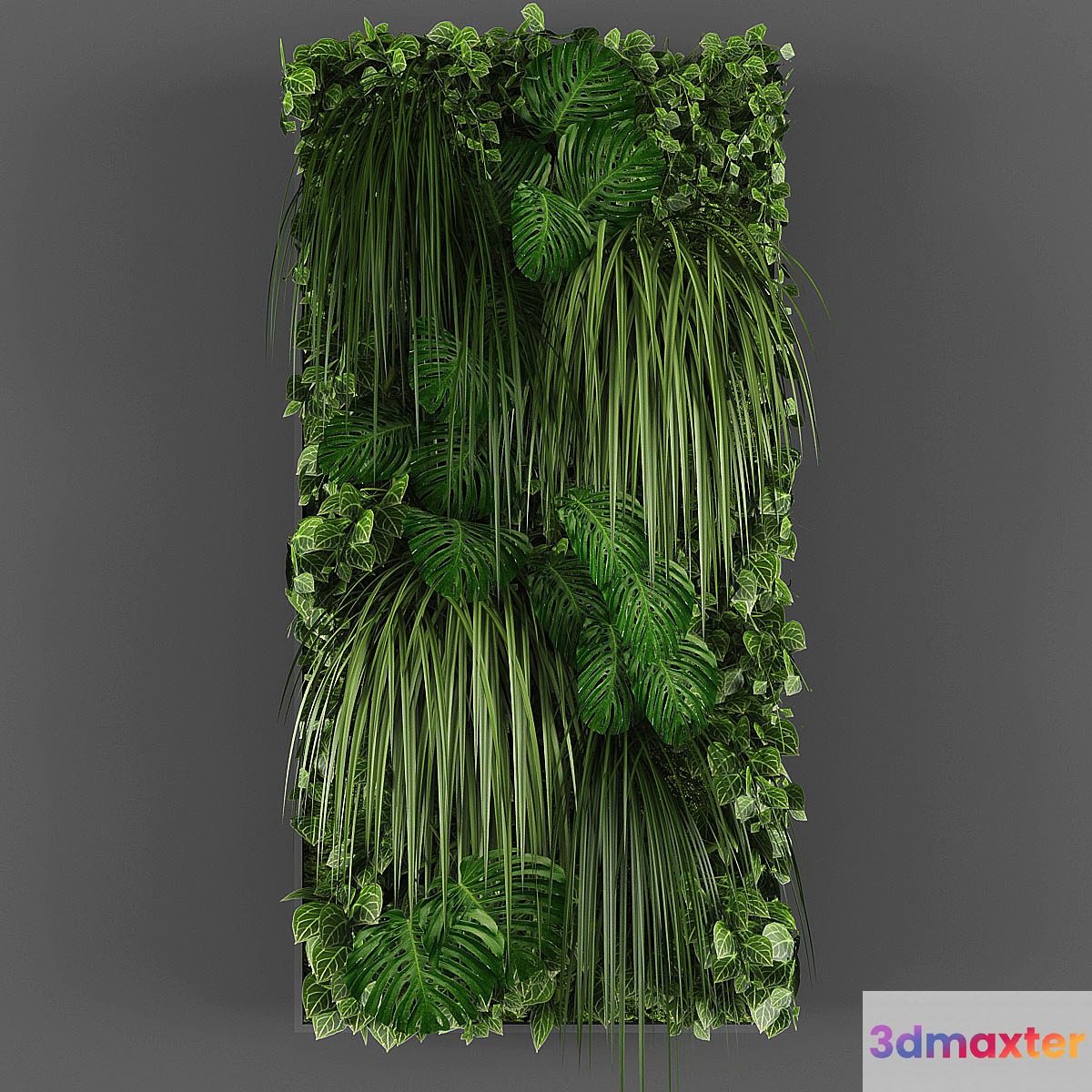 Vertical garden 015
