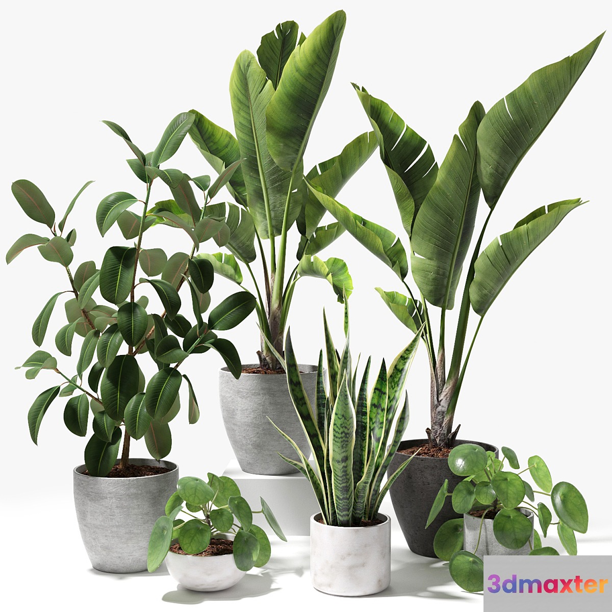 Set of plants 09 3D Max