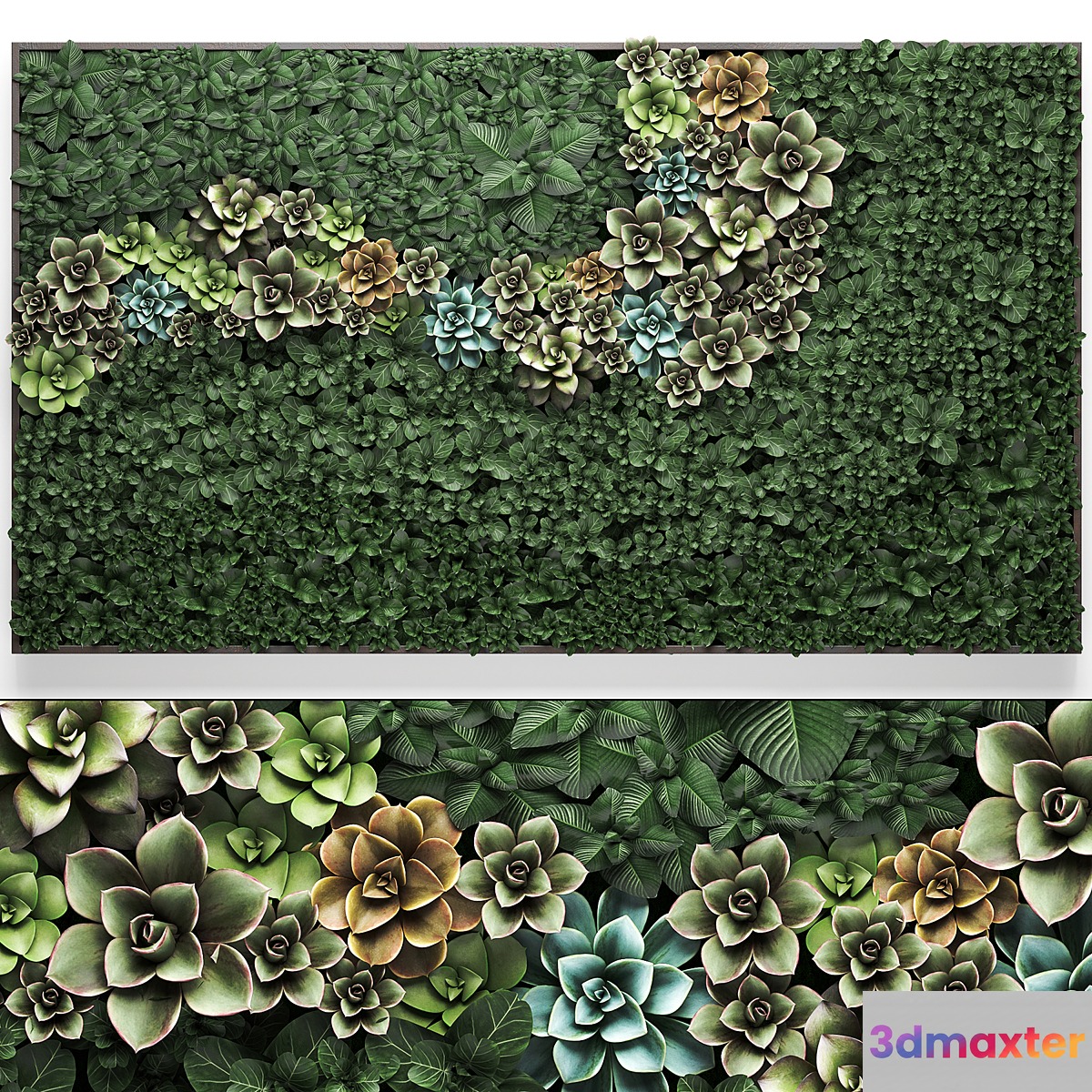 Vertical gardening a garden of plants in a composition of succulents Echeveria phytosten phytomodule painting. Set 52. - No.2