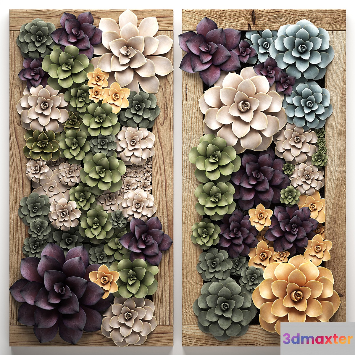 Vertical gardening home garden in a wall pot frame of succulents Echeveria painting. Set 54 3D Max