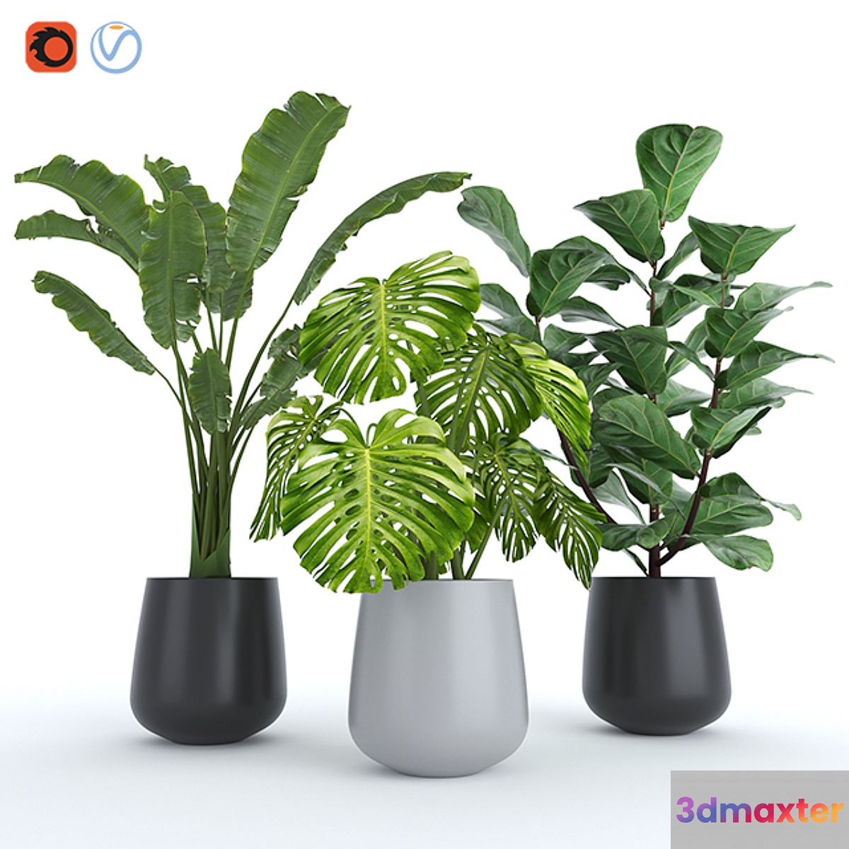 Plant Set 4 3D Max