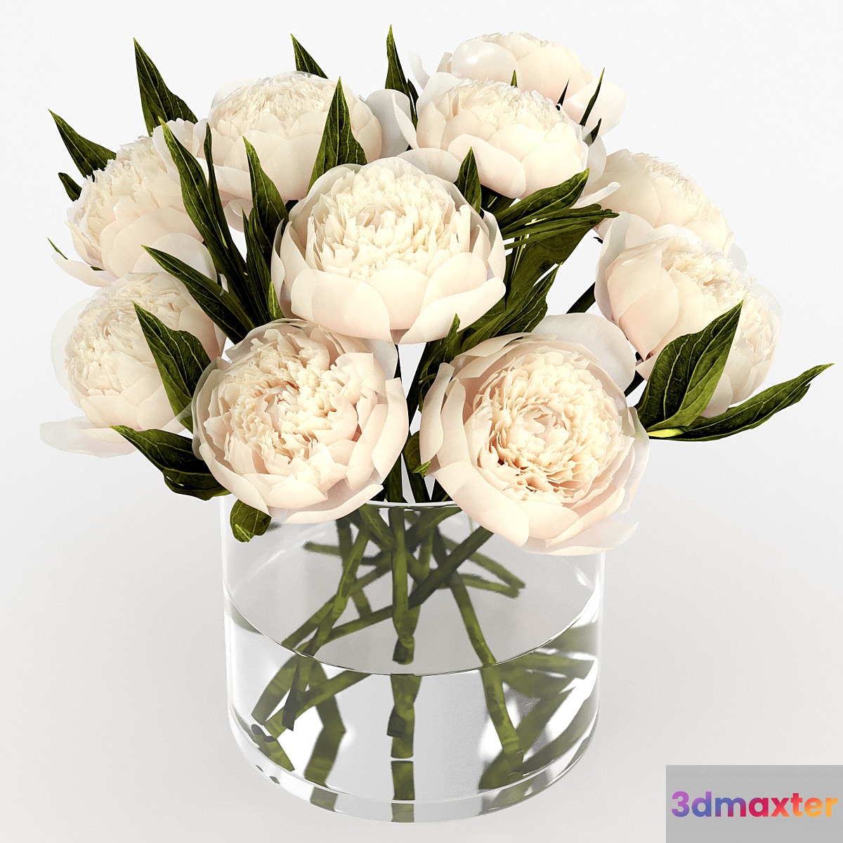 Bouquet of peonies
