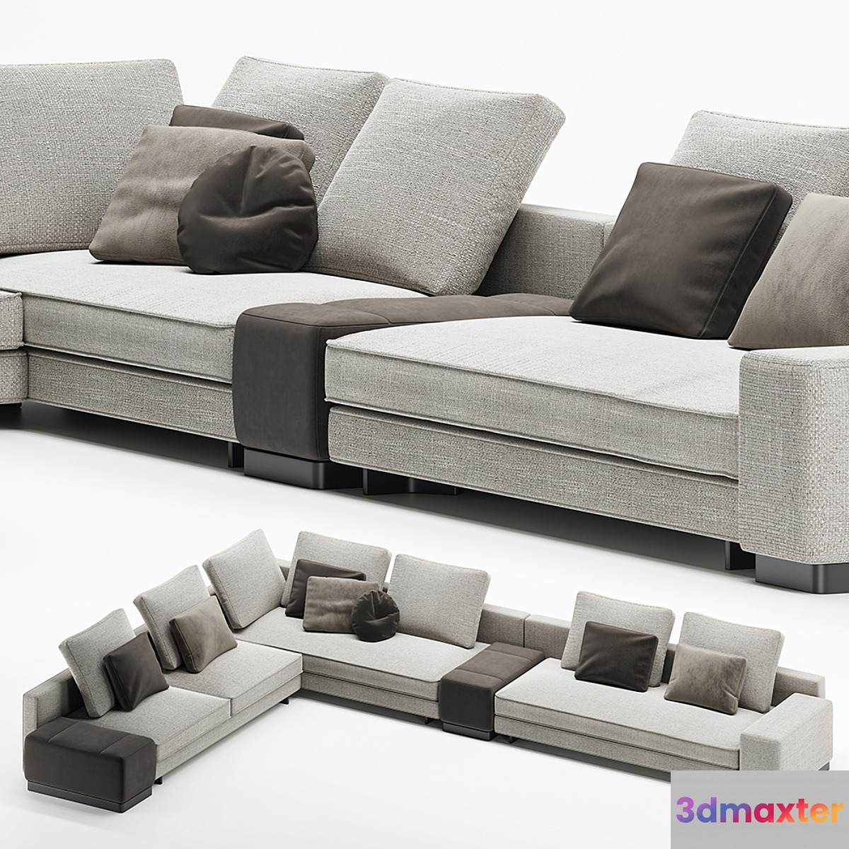 Minotti daniels 2
