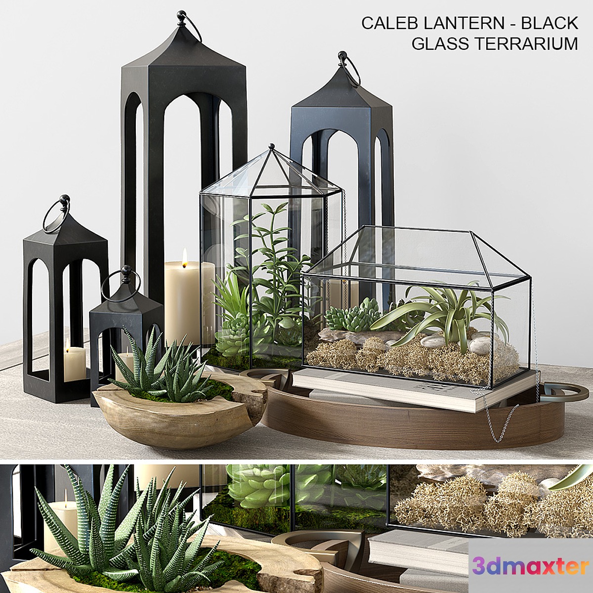 Pottery barn GLASS TERRARIUM - No.2