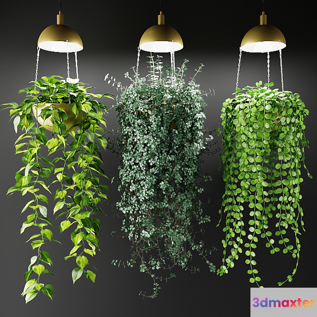 Ampel plants in a cache-pot with lamps - No.3